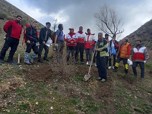 تعامل تیم کوهنوردی دانشگاه الزهرا و انجمن پزشکی کوهستان در اجرای برنامه درختکاری در گردنه واریش